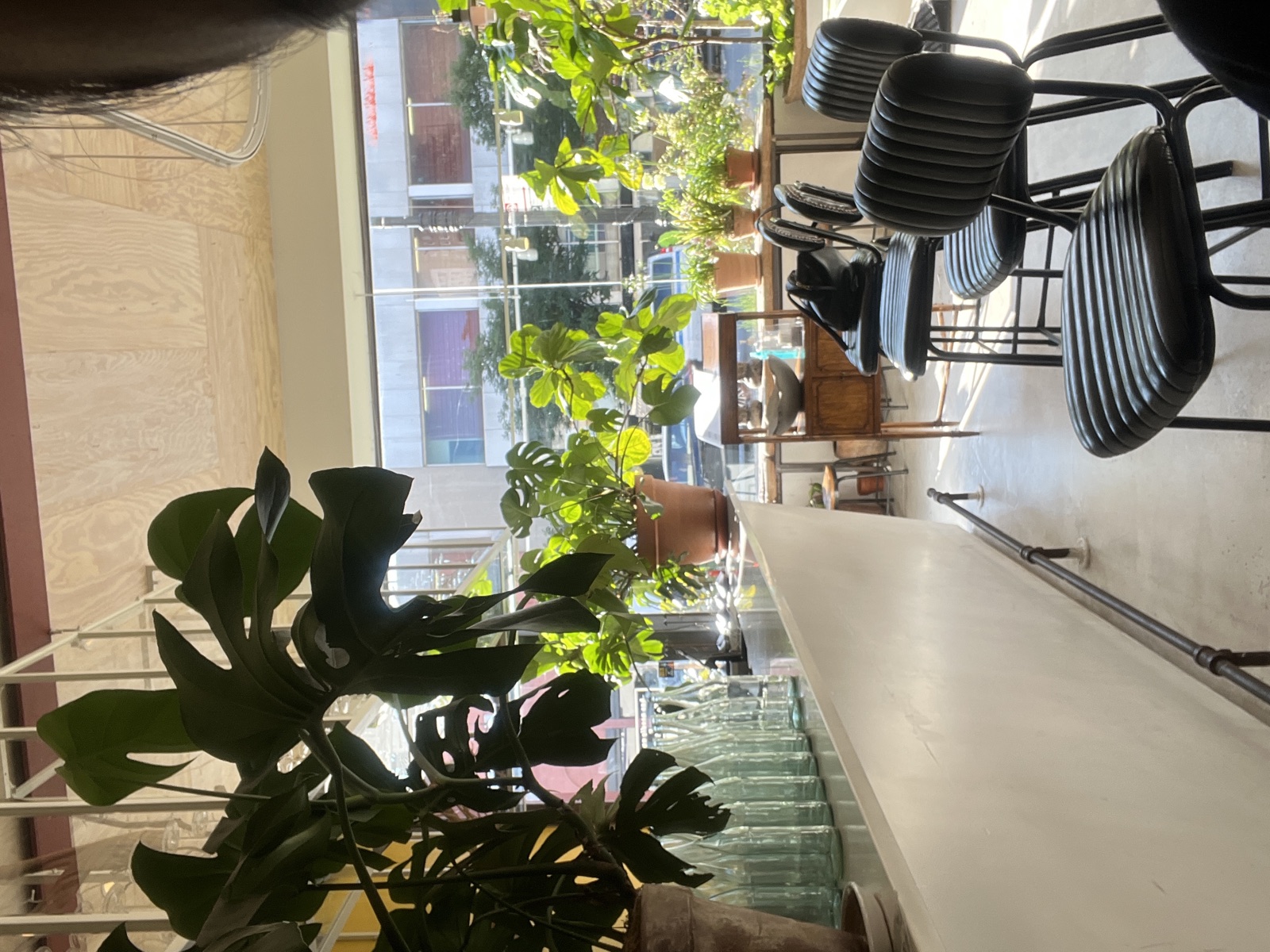 Bright, clean cafe interior with plants and polished floors in NYC
